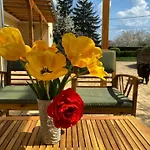 بيت للعطل The Nook - Balatonkiliti شيوفوك
