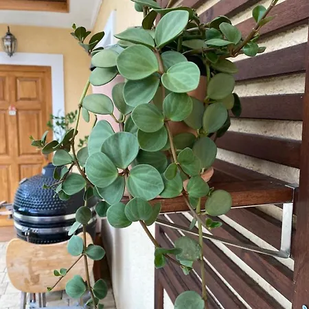 The Nook - Balatonkiliti Casa vacanze Siófok