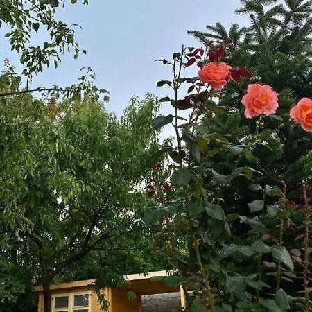 Holiday home The Nook - Balatonkiliti *