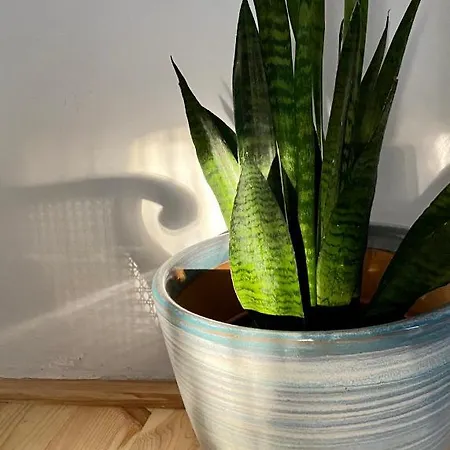 The Nook - Balatonkiliti *