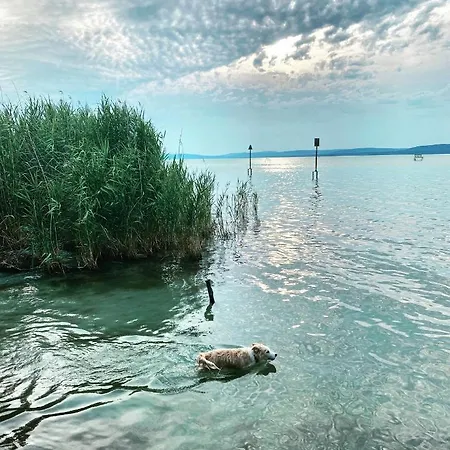 The Nook - Balatonkiliti *