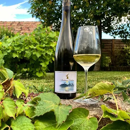 Casa vacanze The Nook - Balatonkiliti