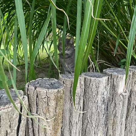 The Nook - Balatonkiliti *