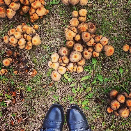 The Nook - Balatonkiliti Casa vacanze