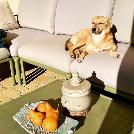 The Nook - Balatonkiliti