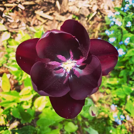 Casa vacanze The Nook - Balatonkiliti *