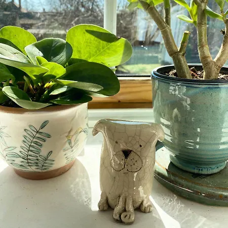 The Nook - Balatonkiliti *