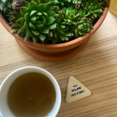 The Nook - Balatonkiliti Casa vacanze Siófok