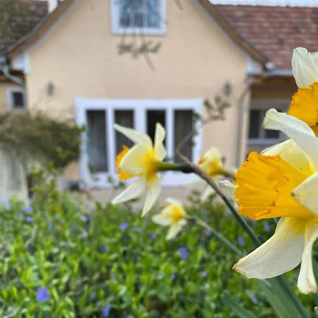 Casa vacanze The Nook - Balatonkiliti Siófok