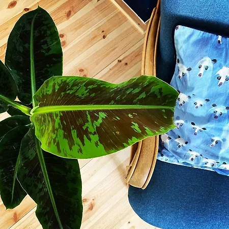 The Nook - Balatonkiliti Дом отдыха