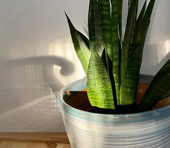 The Nook - Balatonkiliti *