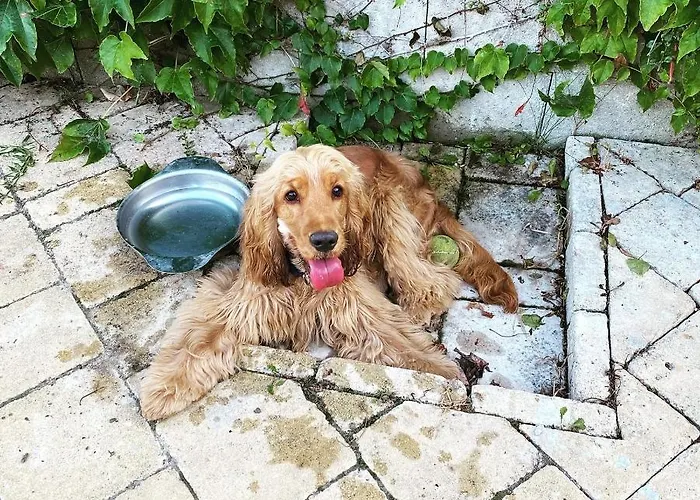 Сasa de vacaciones The Nook - Balatonkiliti *