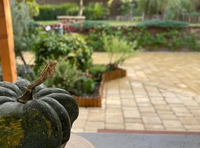 The Nook - Balatonkiliti *