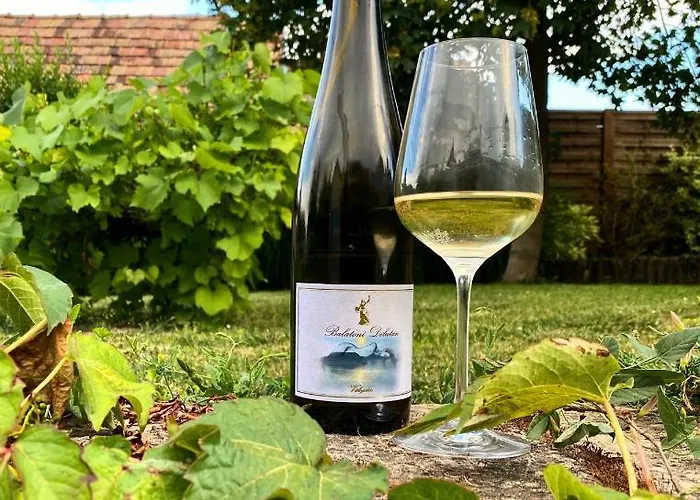 Сasa de vacaciones The Nook - Balatonkiliti