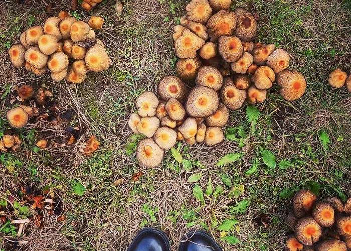 The Nook - Balatonkiliti 別荘