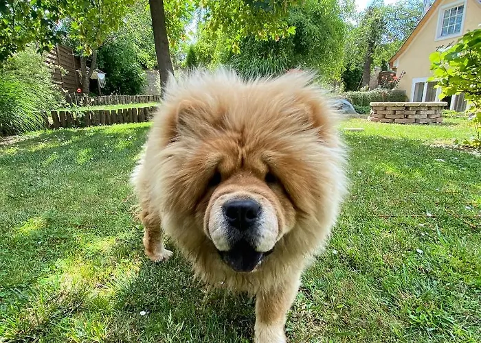 펜션 The Nook - Balatonkiliti