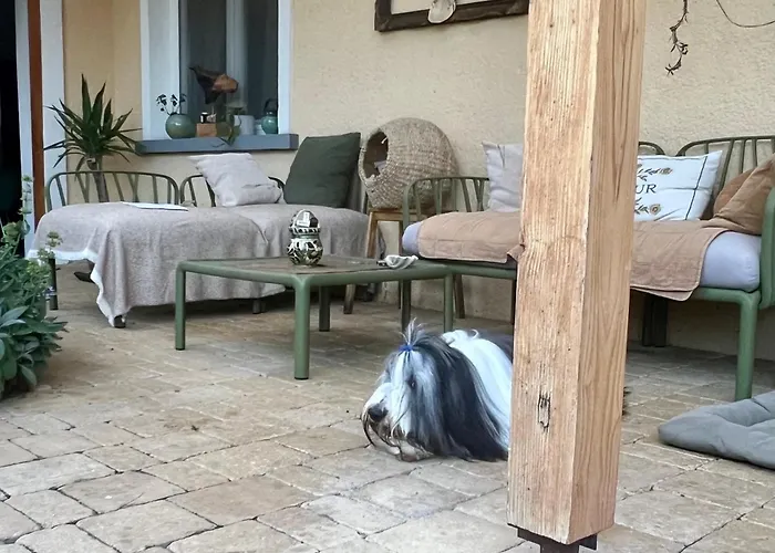 The Nook - Balatonkiliti 시오포크