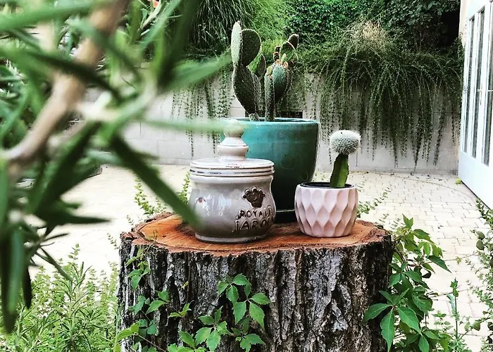 The Nook - Balatonkiliti *