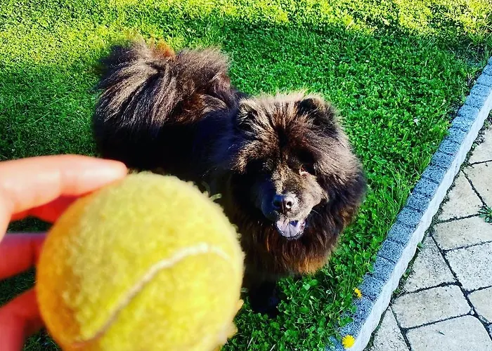 The Nook - Balatonkiliti * 시오포크