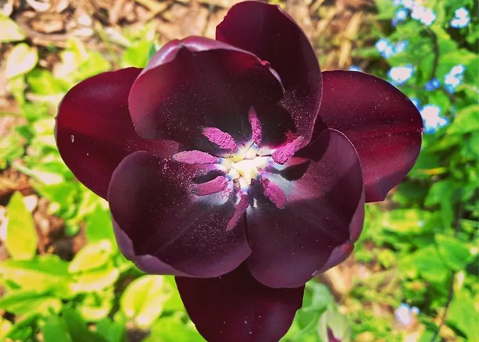 펜션 The Nook - Balatonkiliti *