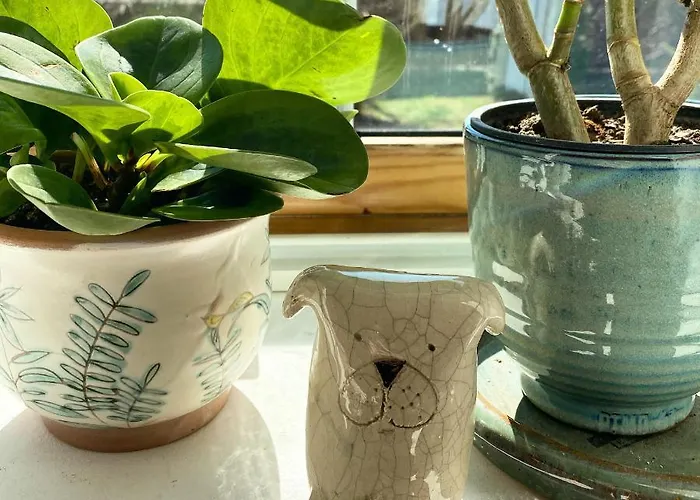 The Nook - Balatonkiliti *