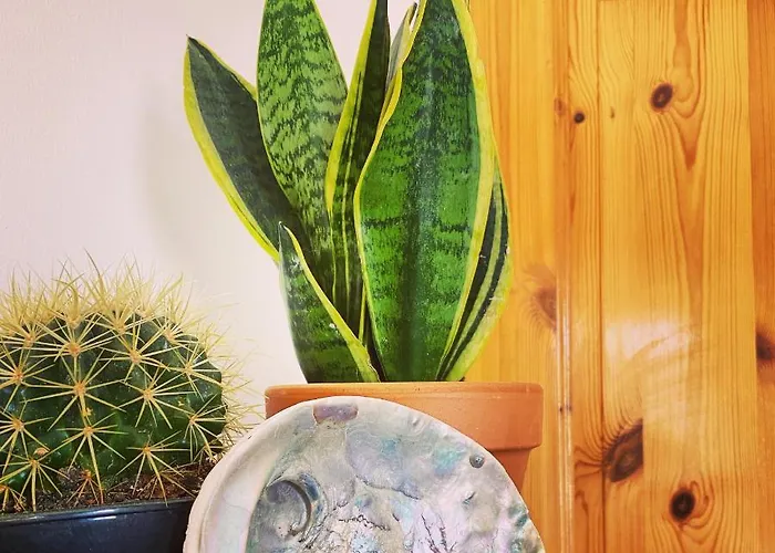 The Nook - Balatonkiliti