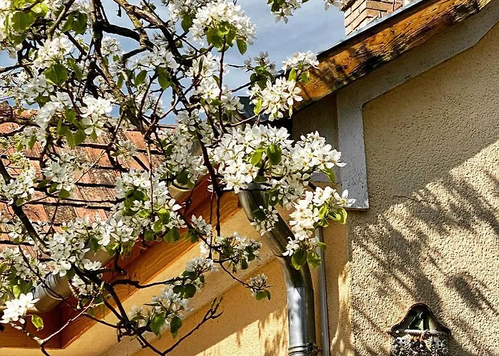 The Nook - Balatonkiliti