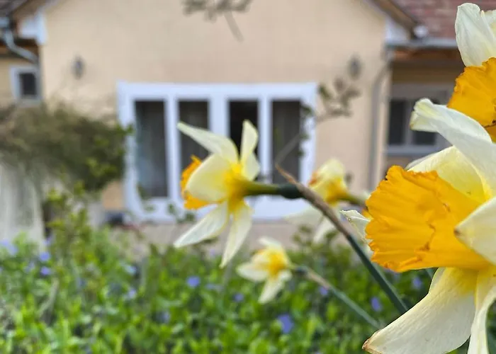 펜션 The Nook - Balatonkiliti 시오포크