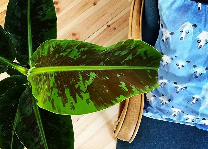 The Nook - Balatonkiliti Сasa de vacaciones